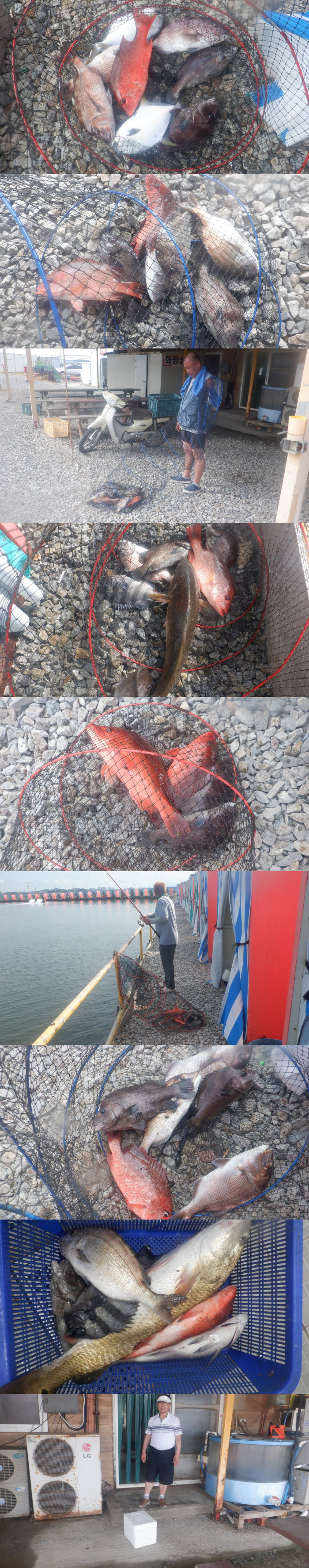 aecc26ec3ff8ec2cabc6a4a29db68e82_1785223