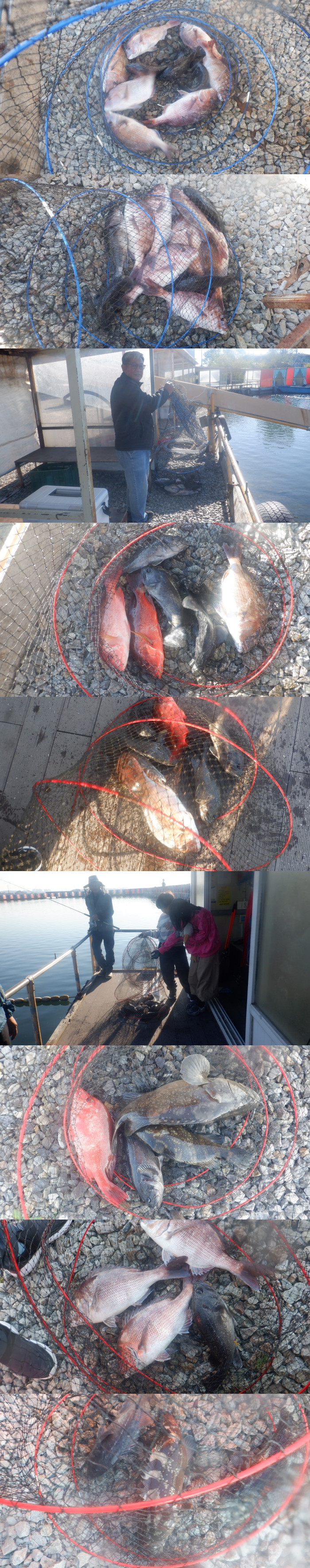 1776aaa01d6a3a0312c9fc3d5d422f19_1792661